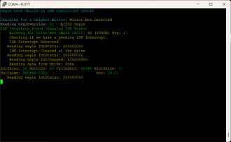 09b - Disk test - Gaylet test
