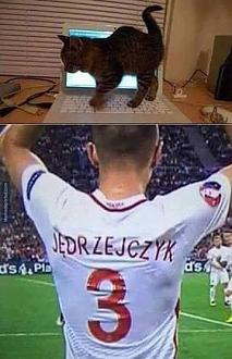 Klikni pro plné zobrazení obrázku  Jméno: images.jpg Počet zobrazení: 0 Velikost: 53,7 KB ID: 176554